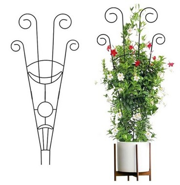 Plant Support